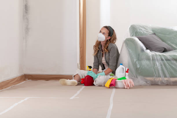Reliable Bathroom Mold Removal contractor in Palm Beach Gardens, FL by WQB Mold Removal